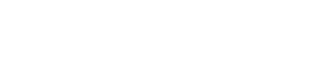 Is Security SRL