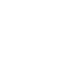 Is Security SRL